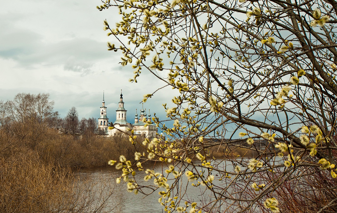 Встречаем Вербное воскресенье: главные традиции, обычаи и запреты великого праздника